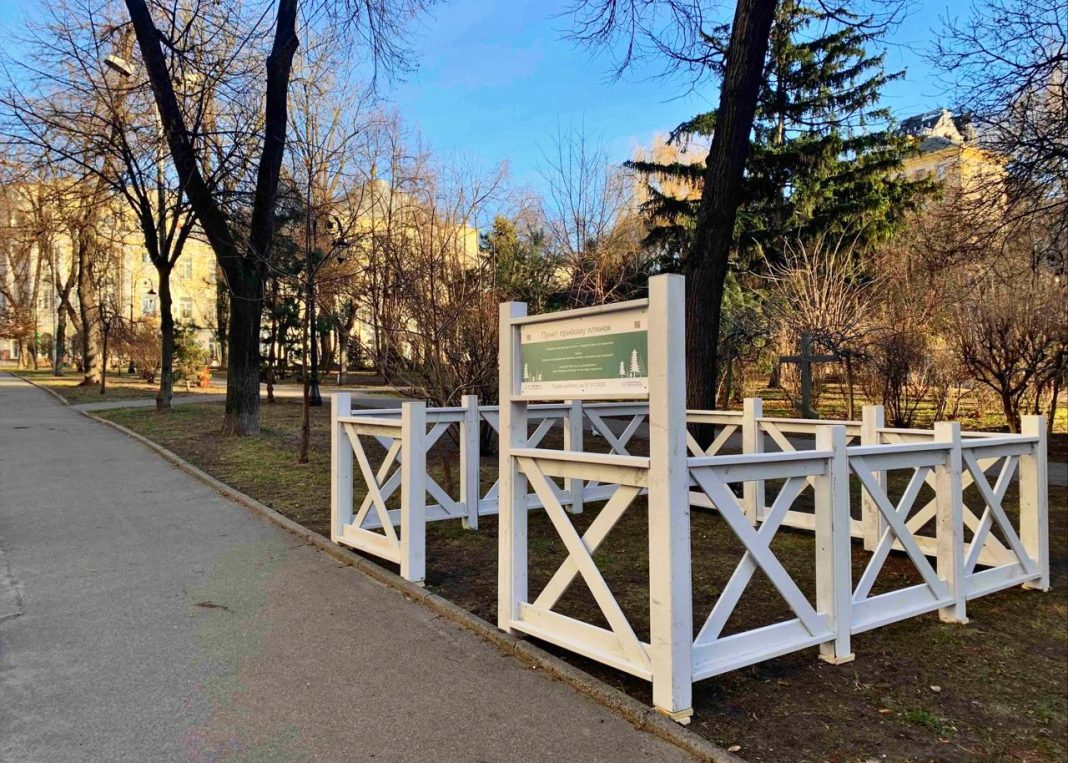 Пункт збору новорічних дерев. Фото: КМДА